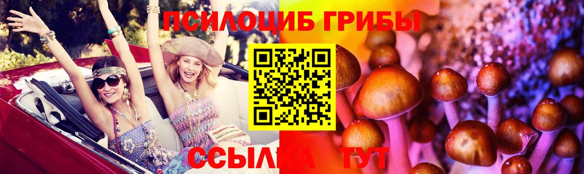 Псилоцибиновые грибы Magic Shrooms  Галлюциногенные грибы Cubensis  Вход с VPN  Кимры 