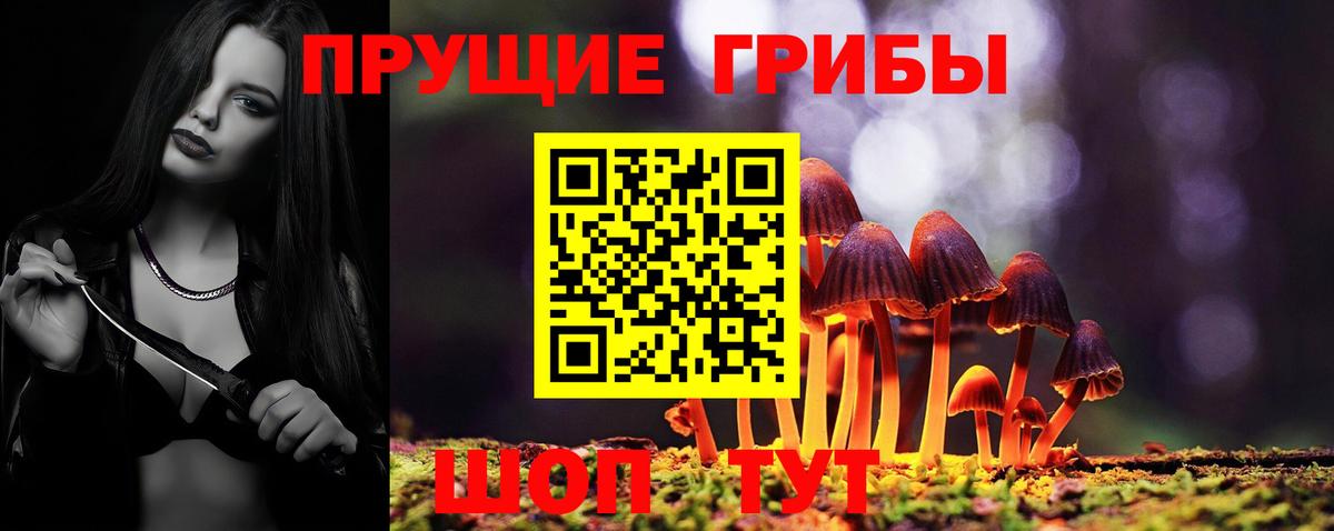 Галлюциногенные грибы MAGIC MUSHROOMS Кимры